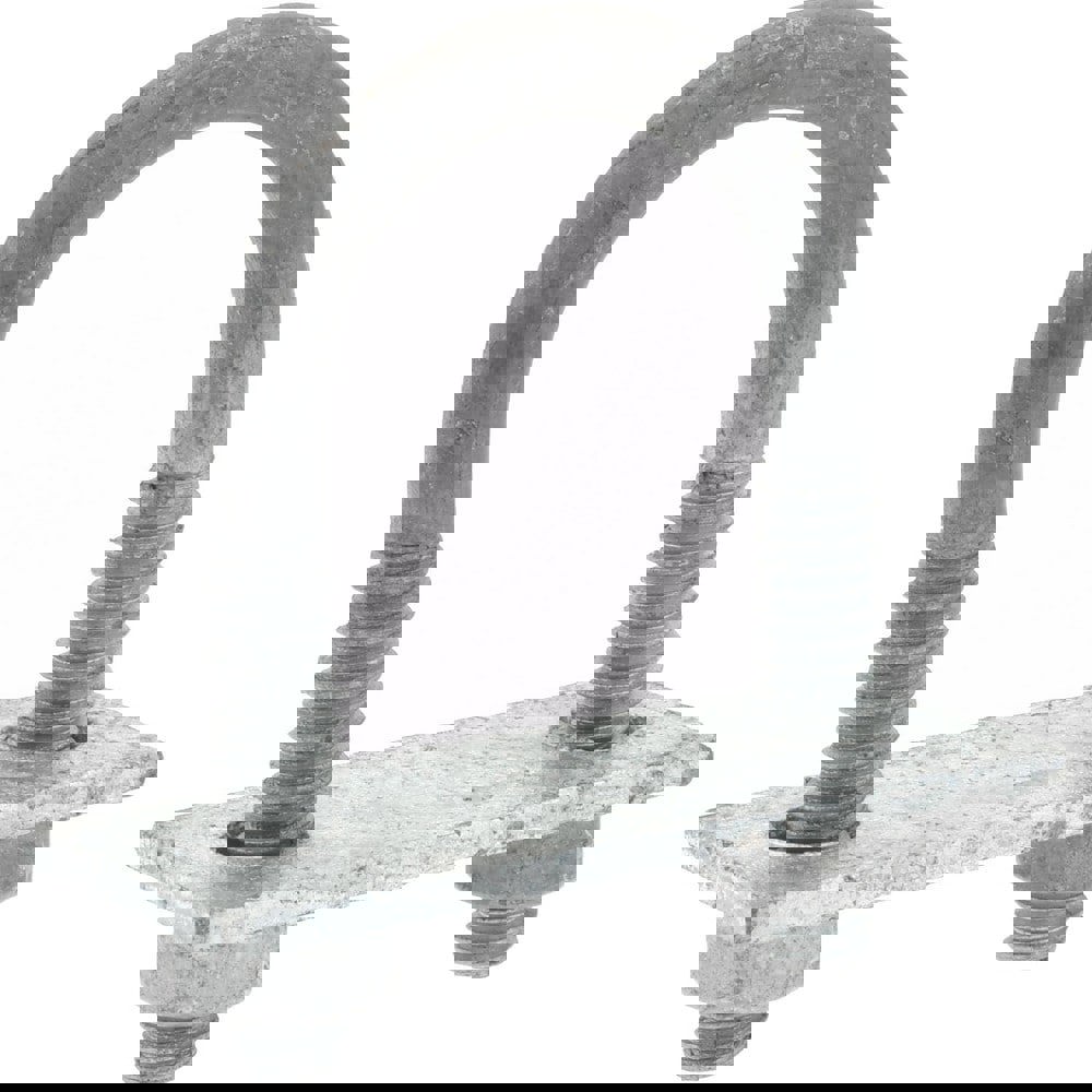 Round U-Bolt: With Mount Plate, 1/4-20 UNC, 1